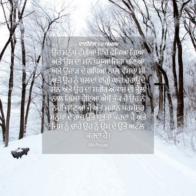 Picture 04 - ਦਾਨੀਏਲ 5:21 PANIRV - ਉਹ ਮਨੁੱਖ ਵੰਸ਼ੀਆਂ - Bible Verse Picture