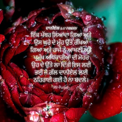 Picture 04 - ਦਾਨੀਏਲ 6:17 PANIRV - ਇੱਕ ਪੱਥਰ ਲਿਆਂਦਾ - Bible Verse Picture