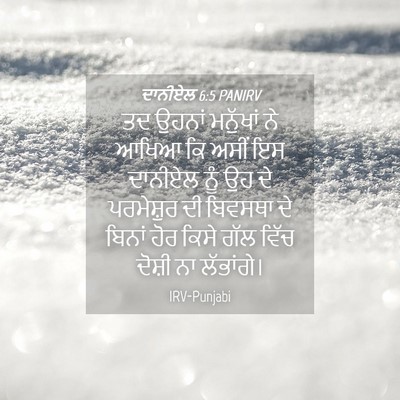 Picture 04 - ਦਾਨੀਏਲ 6:5 PANIRV - ਤਦ ਉਹਨਾਂ ਮਨੁੱਖਾਂ - Bible Verse Picture