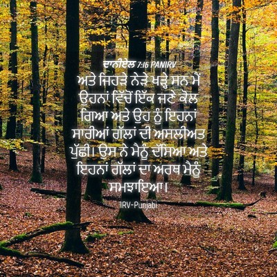 Picture 04 - ਦਾਨੀਏਲ 7:16 PANIRV - ਅਤੇ ਜਿਹੜੇ ਨੇੜੇ - Bible Verse Picture