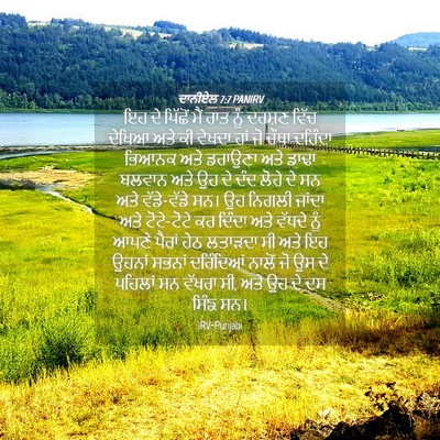 Picture 04 - ਦਾਨੀਏਲ 7:7 PANIRV - ਇਹ ਦੇ ਪਿੱਛੋਂ ਮੈਂ - Bible Verse Picture