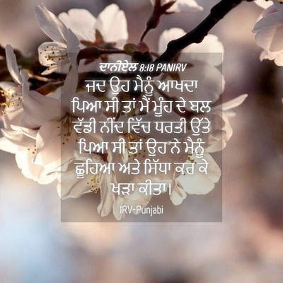 Picture 04 - ਦਾਨੀਏਲ 8:18 PANIRV - ਜਦ ਉਹ ਮੈਨੂੰ ਆਖਦਾ - Bible Verse Picture