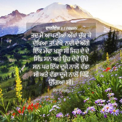 Picture 04 - ਦਾਨੀਏਲ 8:3 PANIRV - ਤਦ ਮੈਂ ਆਪਣੀਆਂ - Bible Verse Picture