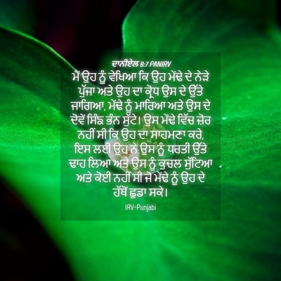 Picture 04 - ਦਾਨੀਏਲ 8:7 PANIRV - ਮੈਂ ਉਹ ਨੂੰ ਵੇਖਿਆ ਕਿ - Bible Verse Picture