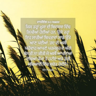 Picture 04 - ਦਾਨੀਏਲ 9:13 PANIRV - ਜਿਸ ਤਰ੍ਹਾਂ ਮੂਸਾ ਦੀ - Bible Verse Picture