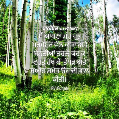 Picture 04 - ਦਾਨੀਏਲ 9:3 PANIRV - ਮੈਂ ਆਪਣਾ ਮੂੰਹ - Bible Verse Picture