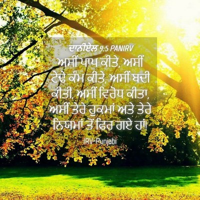 Picture 04 - ਦਾਨੀਏਲ 9:5 PANIRV - ਅਸੀਂ ਪਾਪ ਕੀਤੇ, ਅਸੀਂ - Bible Verse Picture