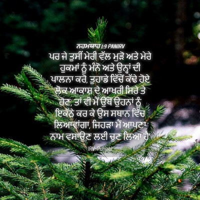 Picture 04 - ਨਹਮਯਾਹ 1:9 PANIRV - ਪਰ ਜੇ ਤੁਸੀਂ ਮੇਰੀ - Bible Verse Picture