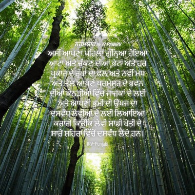 Picture 04 - ਨਹਮਯਾਹ 10:37 PANIRV - ਅਸੀਂ ਆਪਣਾ ਪਹਿਲਾ - Bible Verse Picture