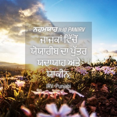 Picture 04 - ਨਹਮਯਾਹ 11:10 PANIRV - ਜਾਜਕਾਂ ਵਿੱਚੋਂ - Bible Verse Picture