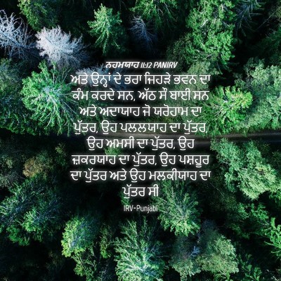 Picture 04 - ਨਹਮਯਾਹ 11:12 PANIRV - ਅਤੇ ਉਨ੍ਹਾਂ ਦੇ ਭਰਾ - Bible Verse Picture
