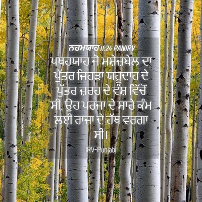 Picture 04 - ਨਹਮਯਾਹ 11:24 PANIRV - ਪਥਹਯਾਹ ਜੋ - Bible Verse Picture