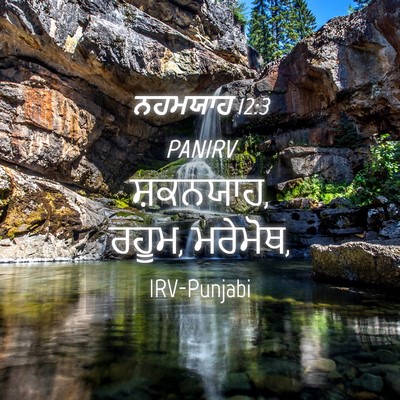 Picture 04 - ਨਹਮਯਾਹ 12:3 PANIRV - ਸ਼ਕਨਯਾਹ, ਰਹੂਮ, - Bible Verse Picture