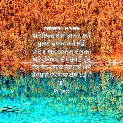 Picture 04 - ਨਹਮਯਾਹ 12:39 PANIRV - ਅਤੇ ਇਫ਼ਰਾਈਮੀ ਫਾਟਕ, - Bible Verse Picture