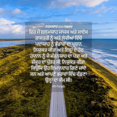 Picture 04 - ਨਹਮਯਾਹ 13:13 PANIRV - ਫਿਰ ਮੈਂ ਸ਼ਲਮਯਾਹ - Bible Verse Picture