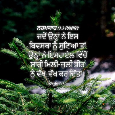 Picture 04 - ਨਹਮਯਾਹ 13:3 PANIRV - ਜਦੋਂ ਉਨ੍ਹਾਂ ਨੇ ਇਸ - Bible Verse Picture