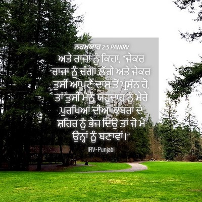 Picture 04 - ਨਹਮਯਾਹ 2:5 PANIRV - ਅਤੇ ਰਾਜਾ ਨੂੰ ਕਿਹਾ, - Bible Verse Picture