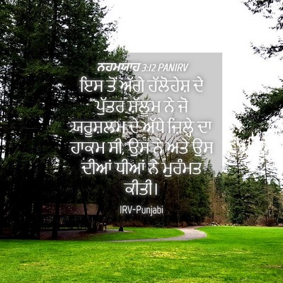 Picture 04 - ਨਹਮਯਾਹ 3:12 PANIRV - ਇਸ ਤੋਂ ਅੱਗੇ - Bible Verse Picture