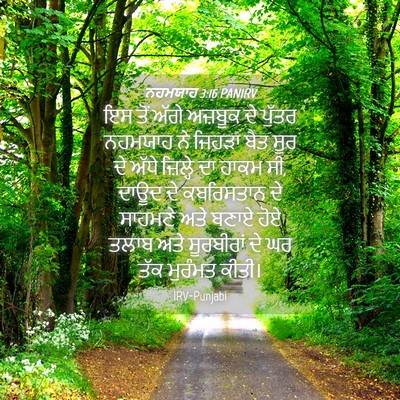 Picture 04 - ਨਹਮਯਾਹ 3:16 PANIRV - ਇਸ ਤੋਂ ਅੱਗੇ ਅਜ਼ਬੂਕ - Bible Verse Picture