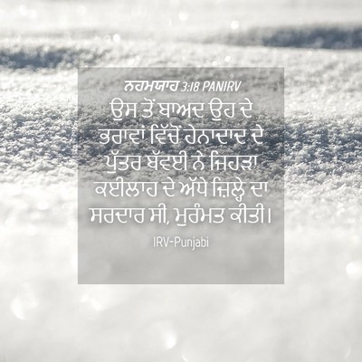 Picture 04 - ਨਹਮਯਾਹ 3:18 PANIRV - ਉਸ ਤੋਂ ਬਾਅਦ ਉਹ ਦੇ - Bible Verse Picture