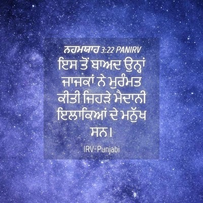 Picture 04 - ਨਹਮਯਾਹ 3:22 PANIRV - ਇਸ ਤੋਂ ਬਾਅਦ ਉਨ੍ਹਾਂ - Bible Verse Picture