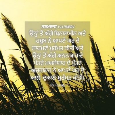 Picture 04 - ਨਹਮਯਾਹ 3:23 PANIRV - ਉਨ੍ਹਾਂ ਤੋਂ ਅੱਗੇ - Bible Verse Picture