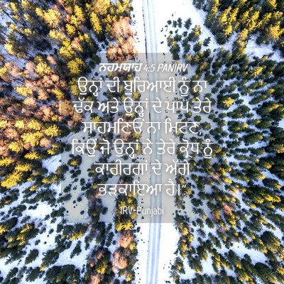Picture 04 - ਨਹਮਯਾਹ 4:5 PANIRV - ਉਨ੍ਹਾਂ ਦੀ ਬੁਰਿਆਈ - Bible Verse Picture