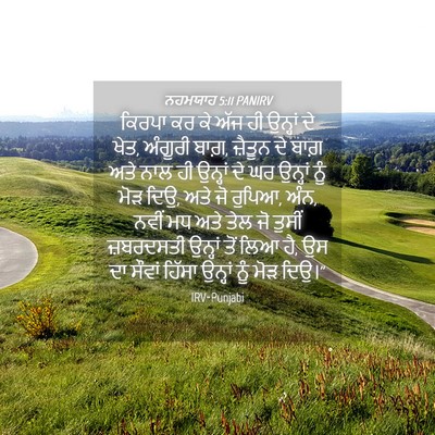 Picture 04 - ਨਹਮਯਾਹ 5:11 PANIRV - ਕਿਰਪਾ ਕਰ ਕੇ ਅੱਜ ਹੀ - Bible Verse Picture