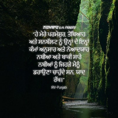 Picture 04 - ਨਹਮਯਾਹ 6:14 PANIRV - “ਹੇ ਮੇਰੇ ਪਰਮੇਸ਼ੁਰ, - Bible Verse Picture