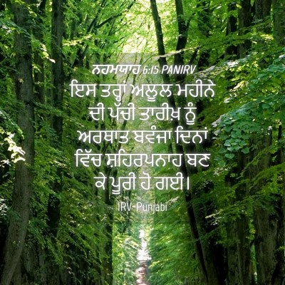 Picture 04 - ਨਹਮਯਾਹ 6:15 PANIRV - ਇਸ ਤਰ੍ਹਾਂ ਅਲੂਲ - Bible Verse Picture