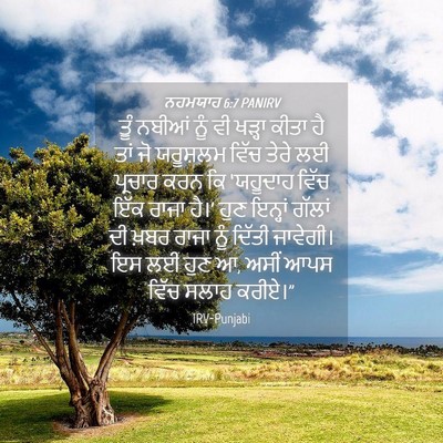 Picture 04 - ਨਹਮਯਾਹ 6:7 PANIRV - ਤੂੰ ਨਬੀਆਂ ਨੂੰ ਵੀ - Bible Verse Picture