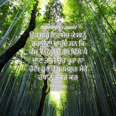 Picture 04 - ਨਹਮਯਾਹ 6:9 PANIRV - ਉਹ ਸਾਰੇ ਇਹ ਸੋਚ ਕੇ - Bible Verse Picture