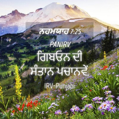 Picture 04 - ਨਹਮਯਾਹ 7:25 PANIRV - ਗਿਬਓਨ ਦੀ ਸੰਤਾਨ - Bible Verse Picture