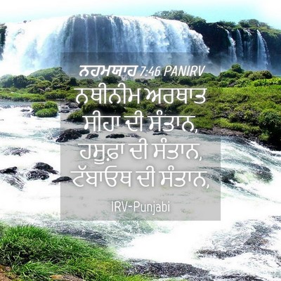 Picture 04 - ਨਹਮਯਾਹ 7:46 PANIRV - ਨਥੀਨੀਮ ਅਰਥਾਤ ਸੀਹਾ - Bible Verse Picture