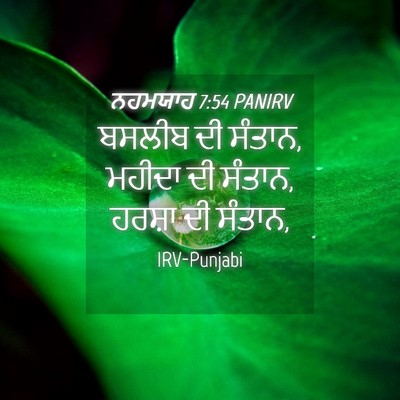 Picture 04 - ਨਹਮਯਾਹ 7:54 PANIRV - ਬਸਲੀਬ ਦੀ ਸੰਤਾਨ, - Bible Verse Picture