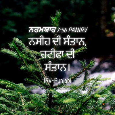 Picture 04 - ਨਹਮਯਾਹ 7:56 PANIRV - ਨਸੀਹ ਦੀ ਸੰਤਾਨ, - Bible Verse Picture