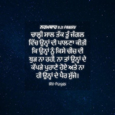 Picture 04 - ਨਹਮਯਾਹ 9:21 PANIRV - ਚਾਲ੍ਹੀ ਸਾਲ ਤੱਕ ਤੂੰ - Bible Verse Picture
