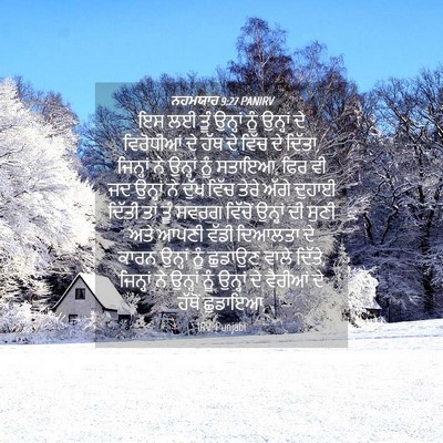 Picture 04 - ਨਹਮਯਾਹ 9:27 PANIRV - ਇਸ ਲਈ ਤੂੰ ਉਨ੍ਹਾਂ - Bible Verse Picture