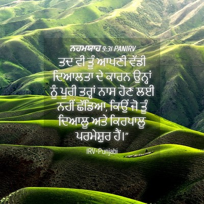 Picture 04 - ਨਹਮਯਾਹ 9:31 PANIRV - ਤਦ ਵੀ ਤੂੰ ਆਪਣੀ ਵੱਡੀ - Bible Verse Picture