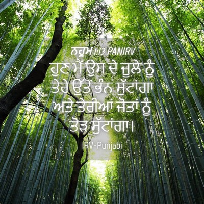 Picture 04 - ਨਹੂਮ 1:13 PANIRV - ਹੁਣ ਮੈਂ ਉਸ ਦੇ ਜੂਲੇ - Bible Verse Picture