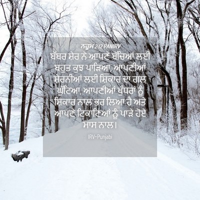 Picture 04 - ਨਹੂਮ 2:12 PANIRV - ਬੱਬਰ ਸ਼ੇਰ ਨੇ ਆਪਣੇ - Bible Verse Picture