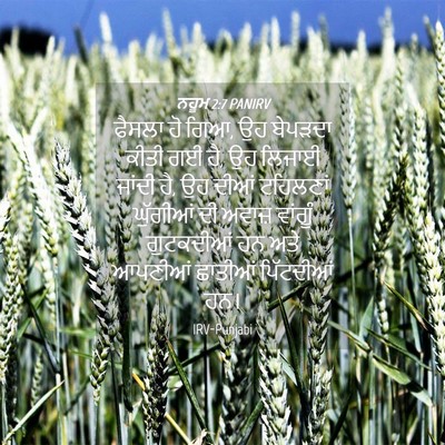 Picture 04 - ਨਹੂਮ 2:7 PANIRV - ਫੈਸਲਾ ਹੋ ਗਿਆ, ਉਹ - Bible Verse Picture