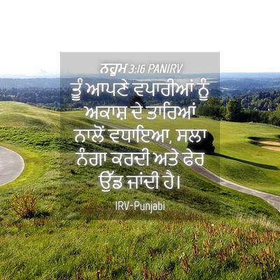 Picture 04 - ਨਹੂਮ 3:16 PANIRV - ਤੂੰ ਆਪਣੇ ਵਪਾਰੀਆਂ - Bible Verse Picture