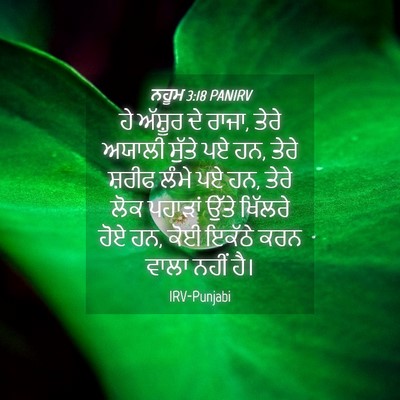 Picture 04 - ਨਹੂਮ 3:18 PANIRV - ਹੇ ਅੱਸ਼ੂਰ ਦੇ ਰਾਜਾ, - Bible Verse Picture