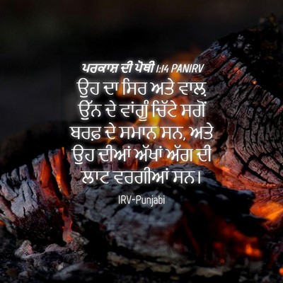 Picture 04 - ਪਰਕਾਸ਼ ਦੀ ਪੋਥੀ 1:14 PANIRV - ਉਹ ਦਾ ਸਿਰ ਅਤੇ ਵਾਲ਼ - Bible Verse Picture