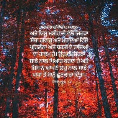 Picture 04 - ਪਰਕਾਸ਼ ਦੀ ਪੋਥੀ 1:5 PANIRV - ਅਤੇ ਯਿਸੂ ਮਸੀਹ ਦੀ - Bible Verse Picture