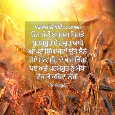 Picture 04 - ਪਰਕਾਸ਼ ਦੀ ਪੋਥੀ 11:16 PANIRV - ਉਹ ਚੌਵੀ ਬਜ਼ੁਰਗ - Bible Verse Picture
