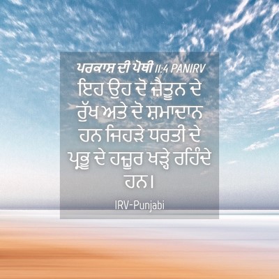 Picture 04 - ਪਰਕਾਸ਼ ਦੀ ਪੋਥੀ 11:4 PANIRV - ਇਹ ਉਹ ਦੋ ਜ਼ੈਤੂਨ ਦੇ - Bible Verse Picture