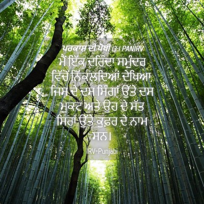 Picture 04 - ਪਰਕਾਸ਼ ਦੀ ਪੋਥੀ 13:1 PANIRV - ਮੈਂ ਇੱਕ ਦਰਿੰਦਾ - Bible Verse Picture
