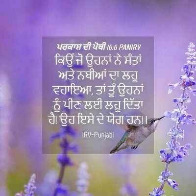 Picture 04 - ਪਰਕਾਸ਼ ਦੀ ਪੋਥੀ 16:6 PANIRV - ਕਿਉਂ ਜੋ ਉਹਨਾਂ ਨੇ - Bible Verse Picture